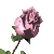 post-6-1121952873.gif